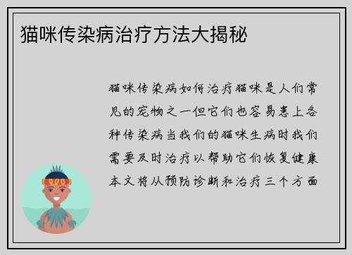 猫咪传染病治疗方法大揭秘